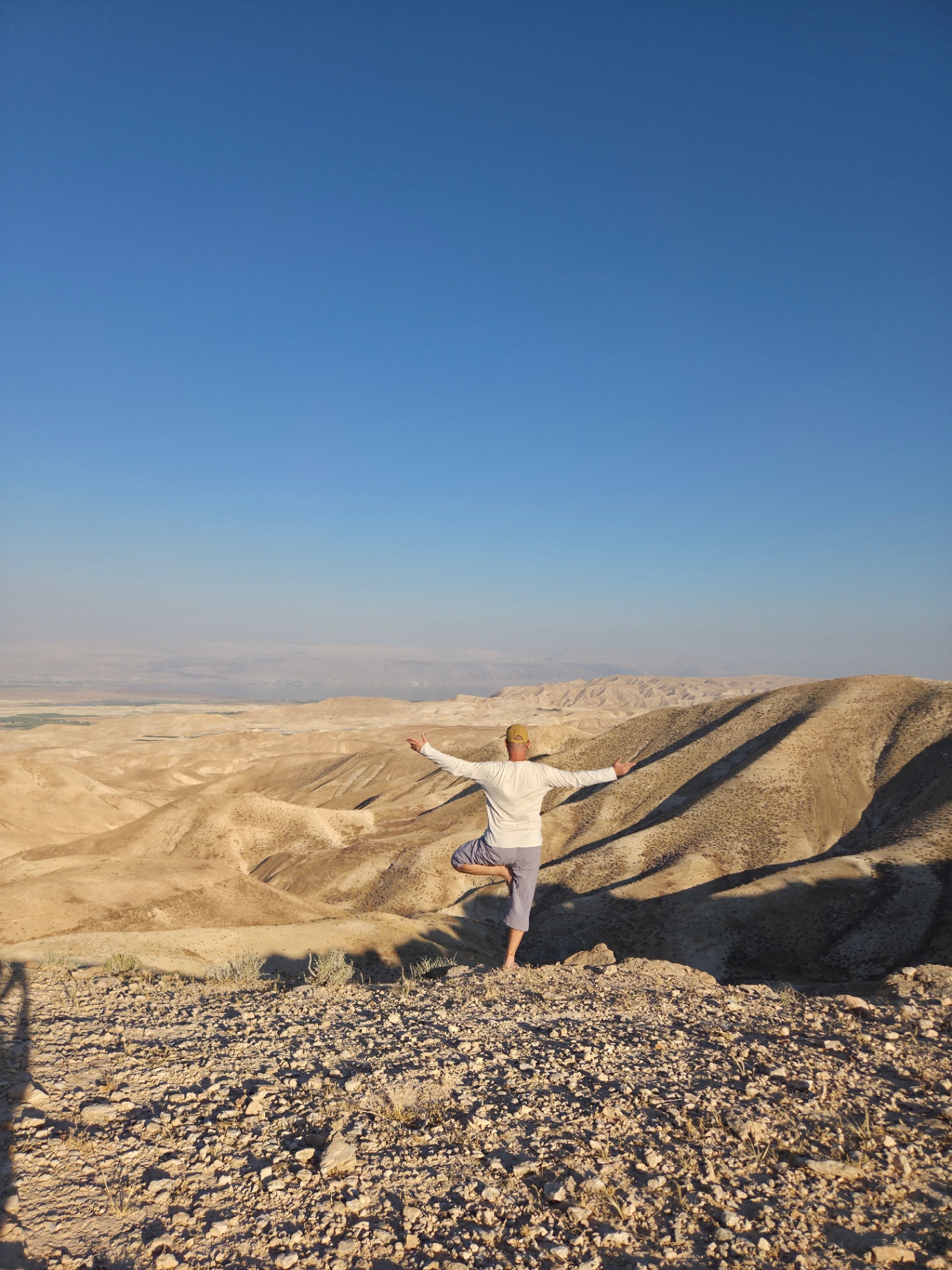 יציבת עץ מול נוף מדבר יהודה